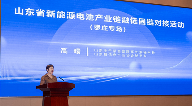山东省新能源电池产业链融链固链对接活动在枣庄成功举办